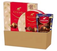 Cote D'Or - Chocolat Noel - 1 Mini Roc Mix, 1 Coffret Collection, 1 Assortiment Séléction (600g)