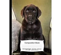 Chocolate Lab Composition Notebook: A Sketchbook For Drawing And Doodling (Dog Notebooks)