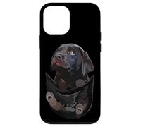 Chocolate Lab Dog in Pocket Chiot Labrador Retriever Marron Coque pour iPhone 12 Mini