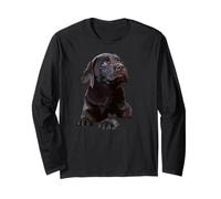 Chocolate Lab Dog Labrador retriever Marron Manche Longue