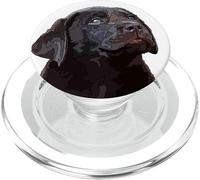 Chocolate Lab Dog Labrador retriever Marron PopSockets PopGrip pour MagSafe