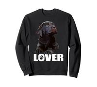 Chocolate Lab Dog Labrador retriever Marron Sweatshirt