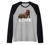 Chocolate Lab Dog Love Labrador Retriever Lover Marron Manche Raglan