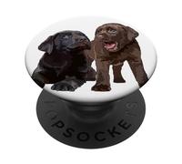 Chocolate Lab Lover Chien Labrador Retriever Marron PopSockets PopGrip Adhésif