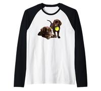 Chocolate Lab The Dog Father The Lab Mother Brown Lab Lover Manche Raglan