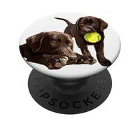 Chocolate Lab The Dog Father The Lab Mother Brown Lab Lover PopSockets PopGrip Adhésif