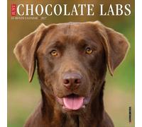 Chocolate Labs 2027 Wall