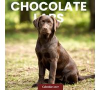 Chocolate Labs Calendar 2027: Labrador Portraits and Outdoor Scenes