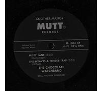 CHOCOLATE WATCHBAND - the chocolate watchband 45 rpm single