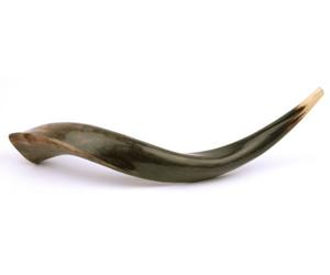 Chofar Corne Jerusalem Shofar Kosher Spiral Horn Polished Natural Shoffar Shophar schofar Kudu Antelope Passover handcrafted Casher kascher