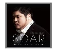 CHOI KI DON - SOAR: First flapping of the wings for