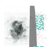 Choir of Young Belivers - Grasque