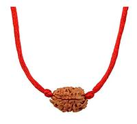 Choisissez votre Rudraksha népalais naturel certifié 1 à 13 Mukhi Ganesh Gauri Shankar Simple avec fil rouge Shiva Astrologie Bijoux pour homme et femme, Bois, Pas de gemme