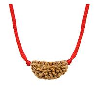 Choisissez votre Rudraksha népalais naturel certifié 1 à 13 Mukhi Ganesh Gauri Shankar Simple avec fil rouge Shiva Astrologie Bijoux pour homme et femme, Bois, Pas de gemme