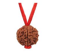 Choisissez votre Rudraksha népalais naturel certifié 1 à 13 Mukhi Ganesh Gauri Shankar Simple avec fil rouge Shiva Astrologie Bijoux pour homme et femme, Bois, Pas de gemme