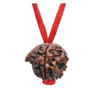 Choisissez votre Rudraksha népalais naturel certifié 1 à 13 Mukhi Ganesh Gauri Shankar Simple avec fil rouge Shiva Astrologie Bijoux pour homme et femme, Bois, Pas de gemme