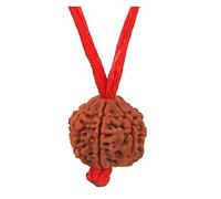 Choisissez votre Rudraksha népalais naturel certifié 1 à 13 Mukhi Ganesh Gauri Shankar Simple avec fil rouge Shiva Astrologie Bijoux pour homme et femme, Bois, Pas de gemme