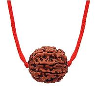 Choisissez votre Rudraksha népalais naturel certifié 1 à 13 Mukhi Ganesh Gauri Shankar Simple avec fil rouge Shiva Astrologie Bijoux pour homme et femme, Bois, Pas de gemme