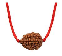 Choisissez votre Rudraksha népalais naturel certifié 1 à 13 Mukhi Ganesh Gauri Shankar Simple avec fil rouge Shiva Astrologie Bijoux pour homme et femme, Bois, Pas de gemme