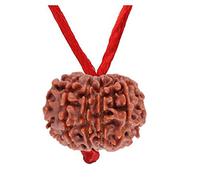 Choisissez votre Rudraksha népalais naturel certifié 1 à 13 Mukhi Ganesh Gauri Shankar Simple avec fil rouge Shiva Astrologie Bijoux pour homme et femme, Bois, Pas de gemme
