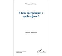 Choix énergétiques : quels enjeux? - Viviane du Castel - L'harmattan - broché - Etude