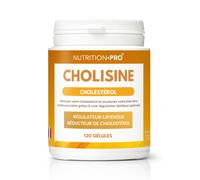 Cholisine 120 Gélules Cholestérol & Circulation Levure De Riz Rouge, Guggul, Ail, Policosanols C?Ur & Équilibre Lipidique