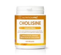 Cholisine 120 gelules cholesterol equilibre et coeur