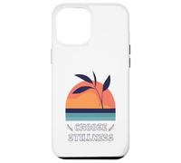 Choose Stillness Meditation Yoga Mindfulness Modern Clean Coque pour iPhone 12 Pro Max