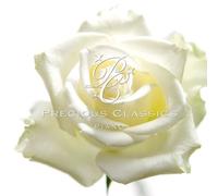 Chopin - Waltz Preludes & Polonaises