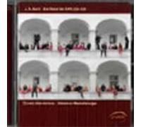 Chorus Sine Nomine Die Motetten BWV 225-230 (CD) Album