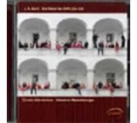 Chorus Sine Nomine Die Motetten BWV 225-230 (CD) Album