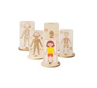 Chosertory Puzzle du Corps Humain en Bois pour Enfants avec Modèle Superposé Peau Muscles et Organes pour Explorer et la Curiosité Scientifique s Petits, Fille