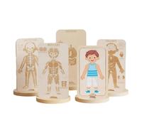 Chosertory Puzzle du Corps Humain en Bois pour Enfants avec Modèle Superposé Peau Muscles et Organes pour Explorer et la Curiosité Scientifique s Petits, Garçon