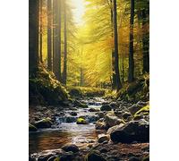 CHOSIGHT 5D Kit de Broderie Diamant Forêt - DIY Peinture Complète avec Diamond Painting Paysages Ronds en Cristal Strass - Artisanat Mural DIY pour Décoration de Maison - 30x40 cm