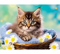 CHOSIGHT DIY Broderie Diamant Peinture Kit Chat, 5D Diamond Painting Marguerite Complet Rond Cristal Strass Artisanat Murale Pour Maison Salon Chambre Décoration 30x40 cm