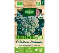 Chou Brocoli Calabrese Natalino - BIO