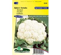 Chou fleur Alpha 6 Fortados - Les variétes de choux