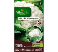 Vilmorin - Sachet de graines Chou Fleur LOCRIS HF1 - Création Vilmorin