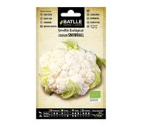 Chou-fleur Snowball - ECO