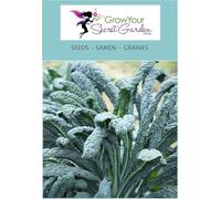 Chou Kale géant -vert