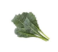 Chou kale italien / 3-pack - Capsules de chou vert pour jardin d'intérieur intelligent