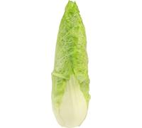 Chou pointu artificiel fidèle à la nature comme élément décoratif de cuisine et de style campagnard