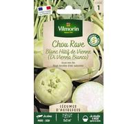 Chou Rave Blanc Hâtif de Vienne - Légumes d'Autrefois