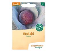 Chou rouge - grenat