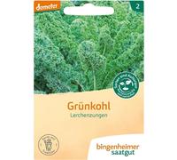 Chou vert - Langues d'alouette