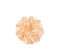 Chouchous pour Cheveux 5 pièces de cheveux doux fleur corde mesh bandes coloré cravate haute queue cheval bandeau fille brillant accessoires(Color6)