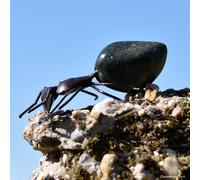 CHOUETTE AND CO-Fourmi métal petit modèle