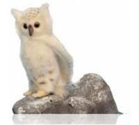 Chouette Blanche 18cm