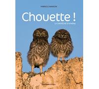 Chouette !: La chevêche d'Athéna