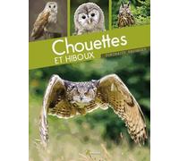 Chouettes et hiboux
